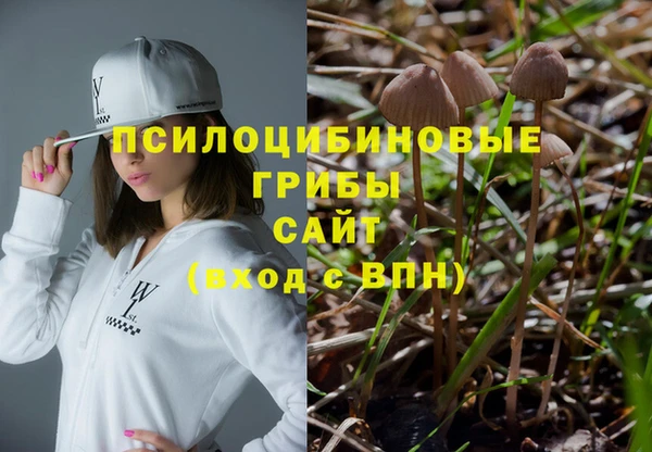 а пвп мука Абаза