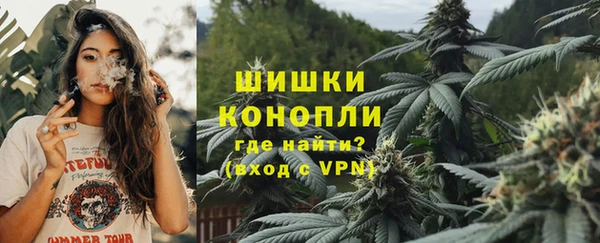 МДПВ Новозыбков